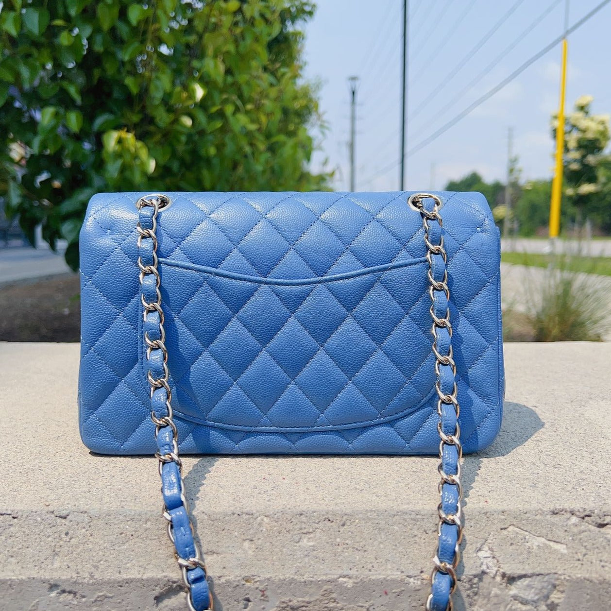 Chanel-Caviar-Small-Classic-Double-Flap-Handbag-Blue-Back