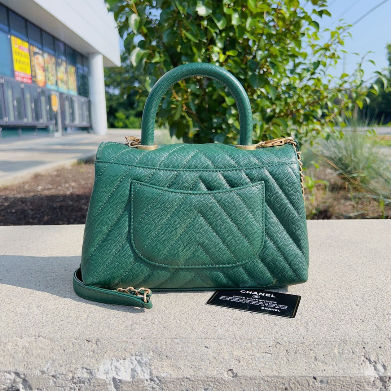 Chanel-Caviar-Mini-Coco-Handle-Bag-Green-Back