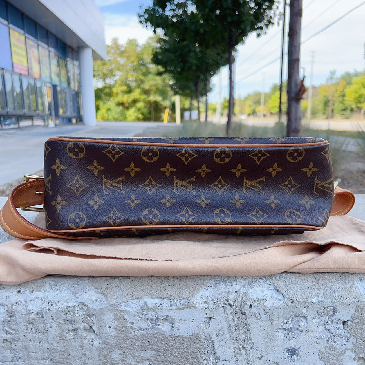 Louis Vuitton Monogram Viva-Cité GM Bag