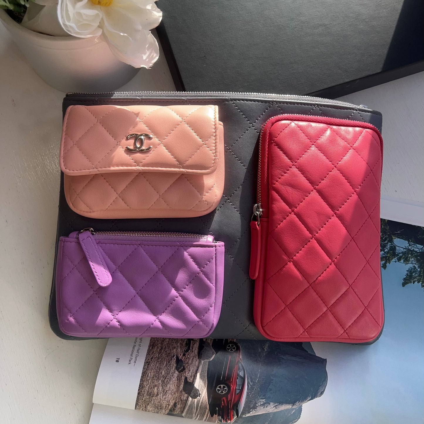 CHANEL Rare ︎Multicolor clutch bag wallet - Pocket Zip