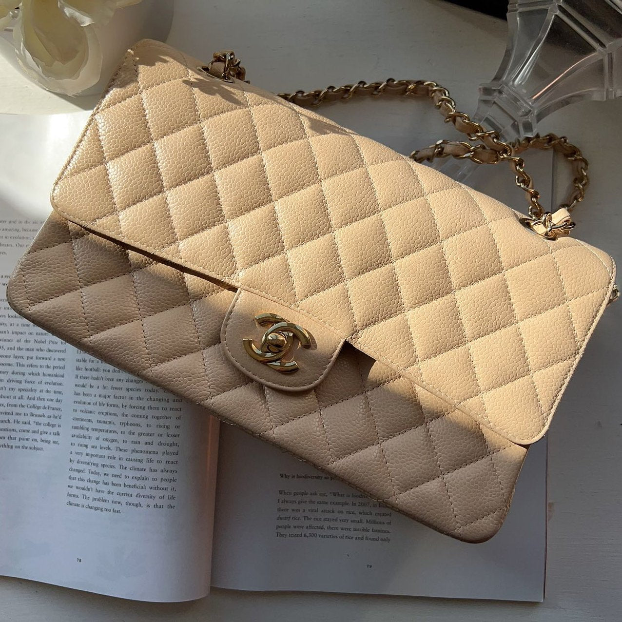 Chanel Classic Medium Double Flap Beige Bag –