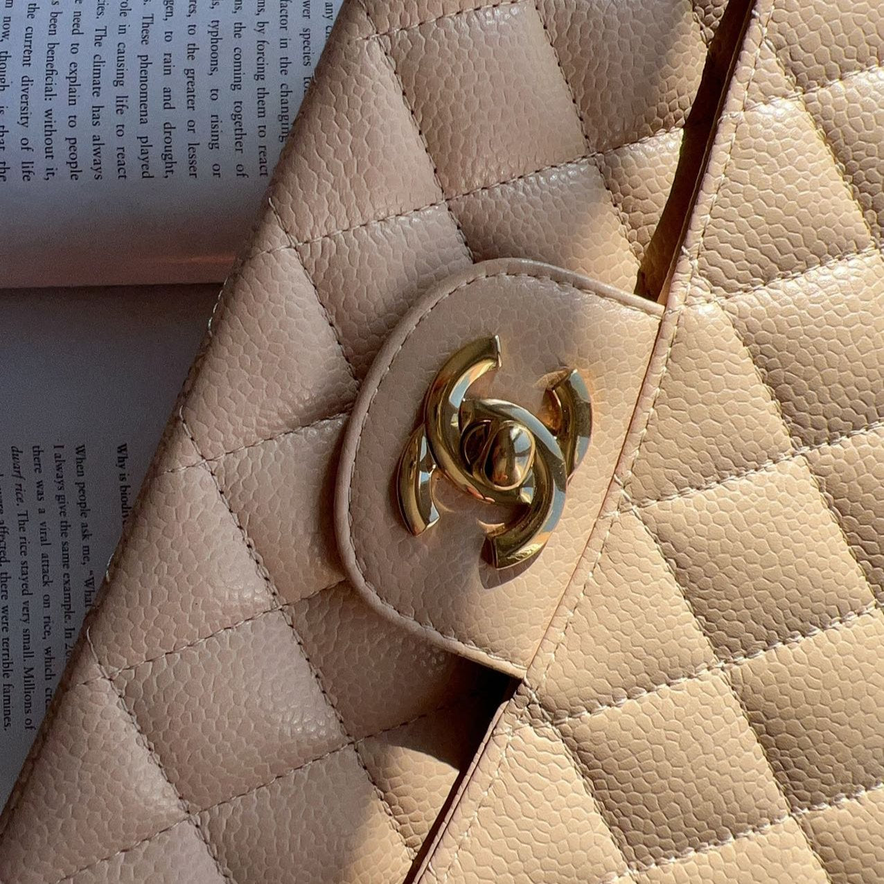 Chanel Classic Medium Double Flap Beige Bag