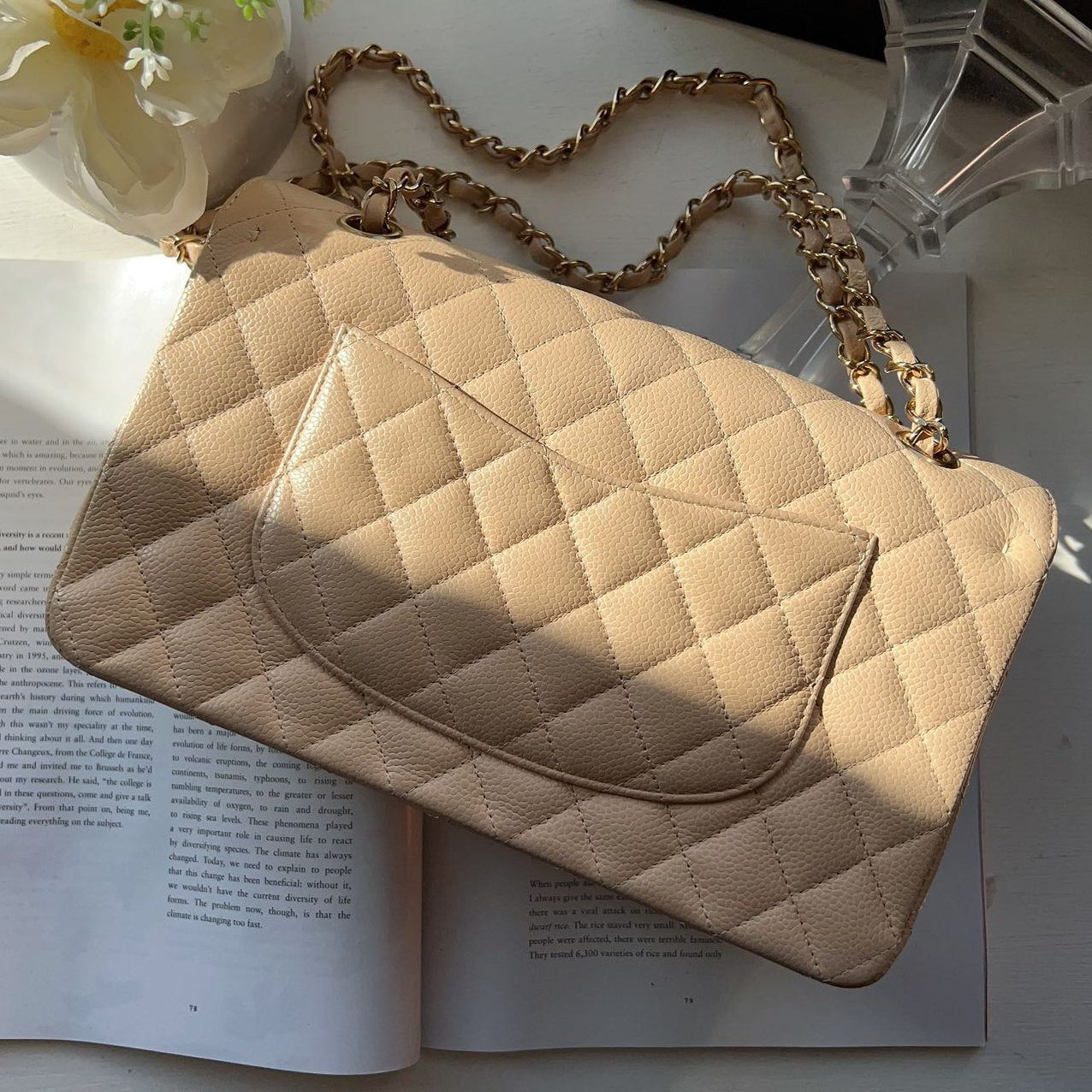 Chanel Classic Medium Double Flap Beige Bag