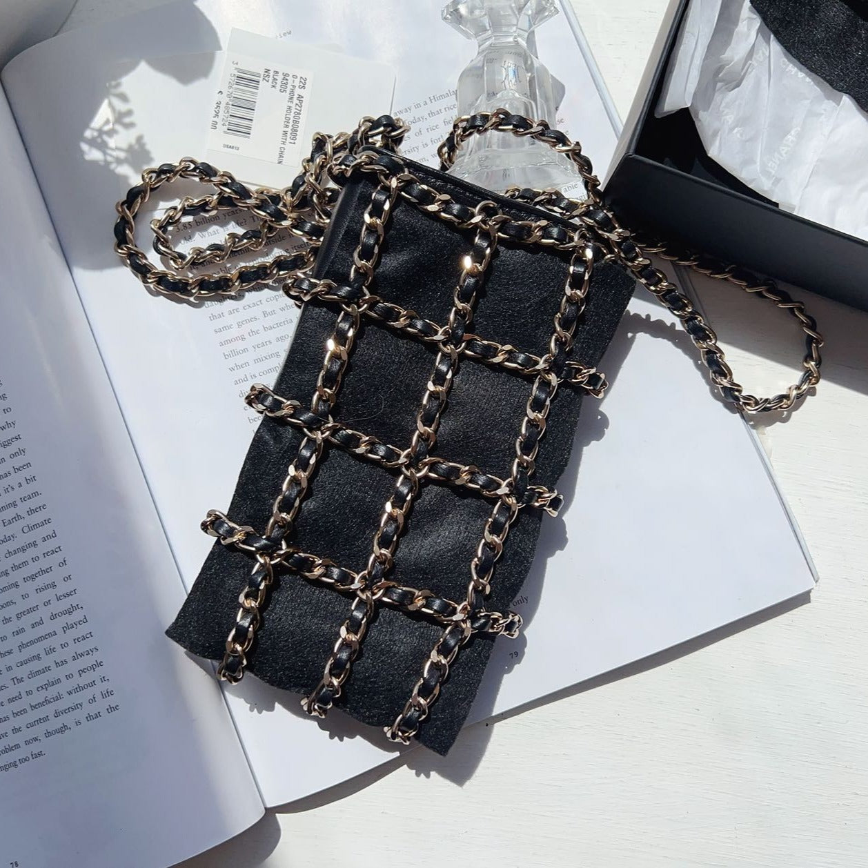 Chanel-Coin-Medallion-Clutch-With-Chain-Lambskin-Back