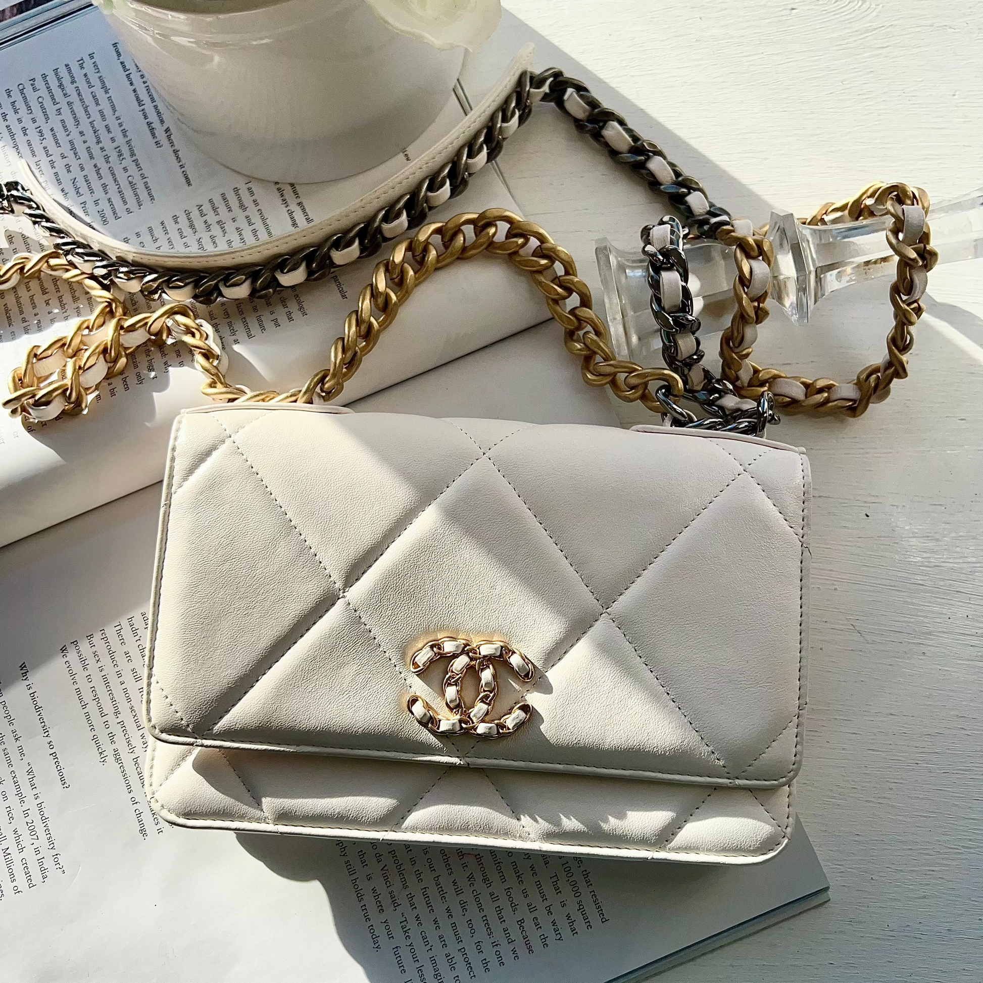 Chanel Quilted 19 Wallet On Chain White