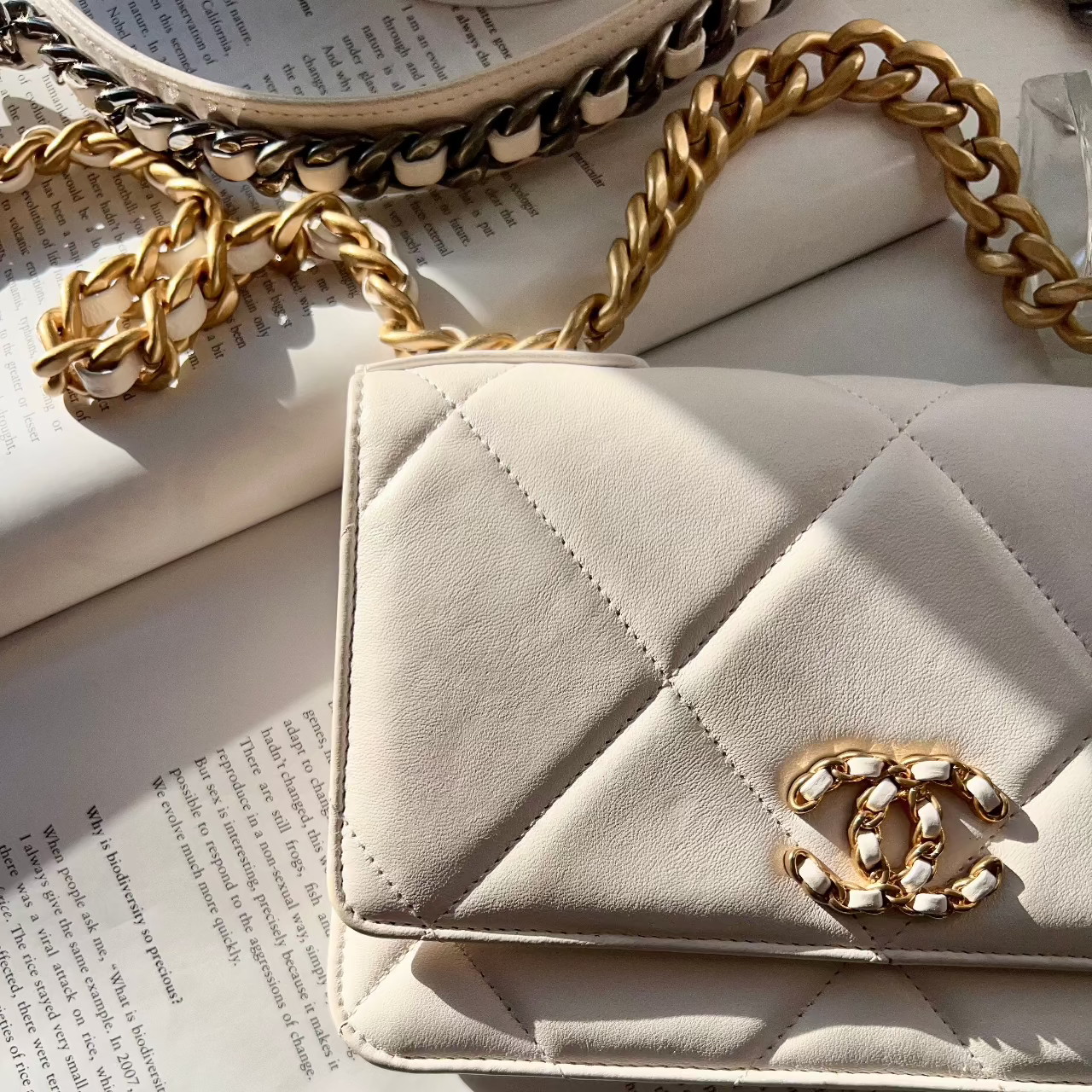 Chanel Quilted 19 Wallet On Chain White