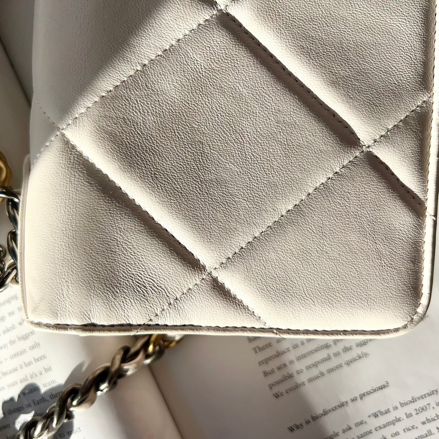 Chanel Quilted 19 Wallet On Chain White