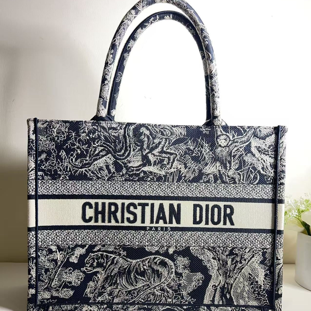 Dior Medium Book Tote Ecru and Blue