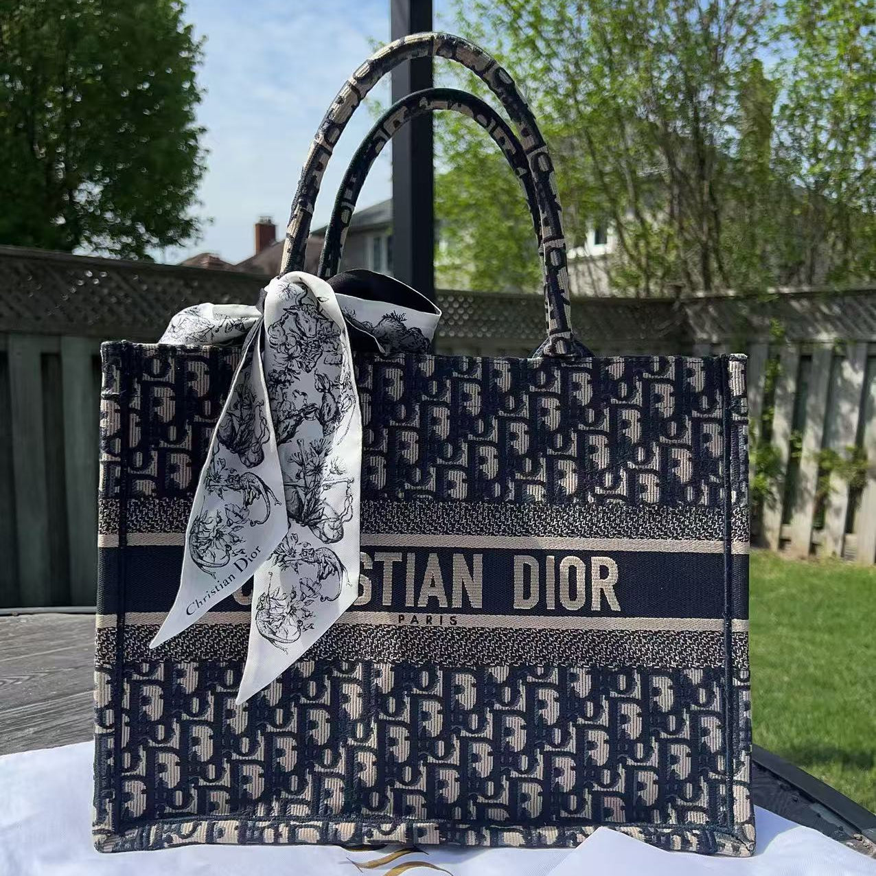 Dior book tote