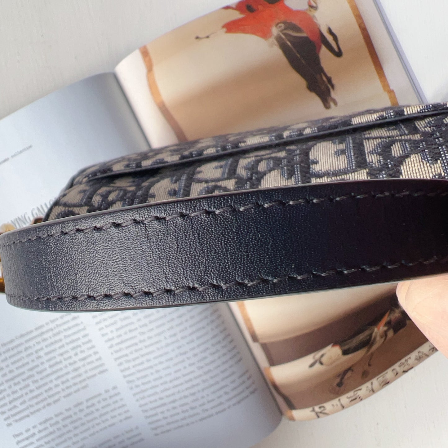 Dior Oblique Mini Saddle Bag