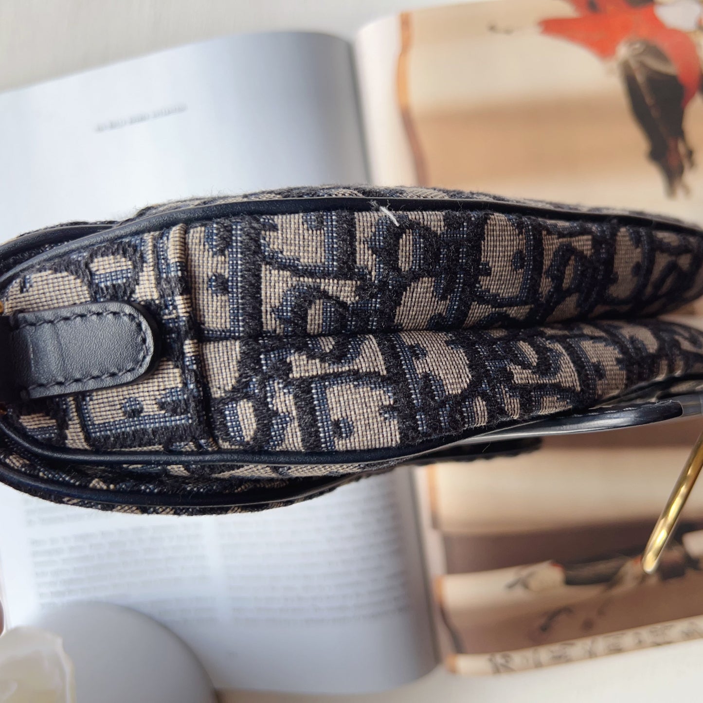 Dior Oblique Mini Saddle Bag