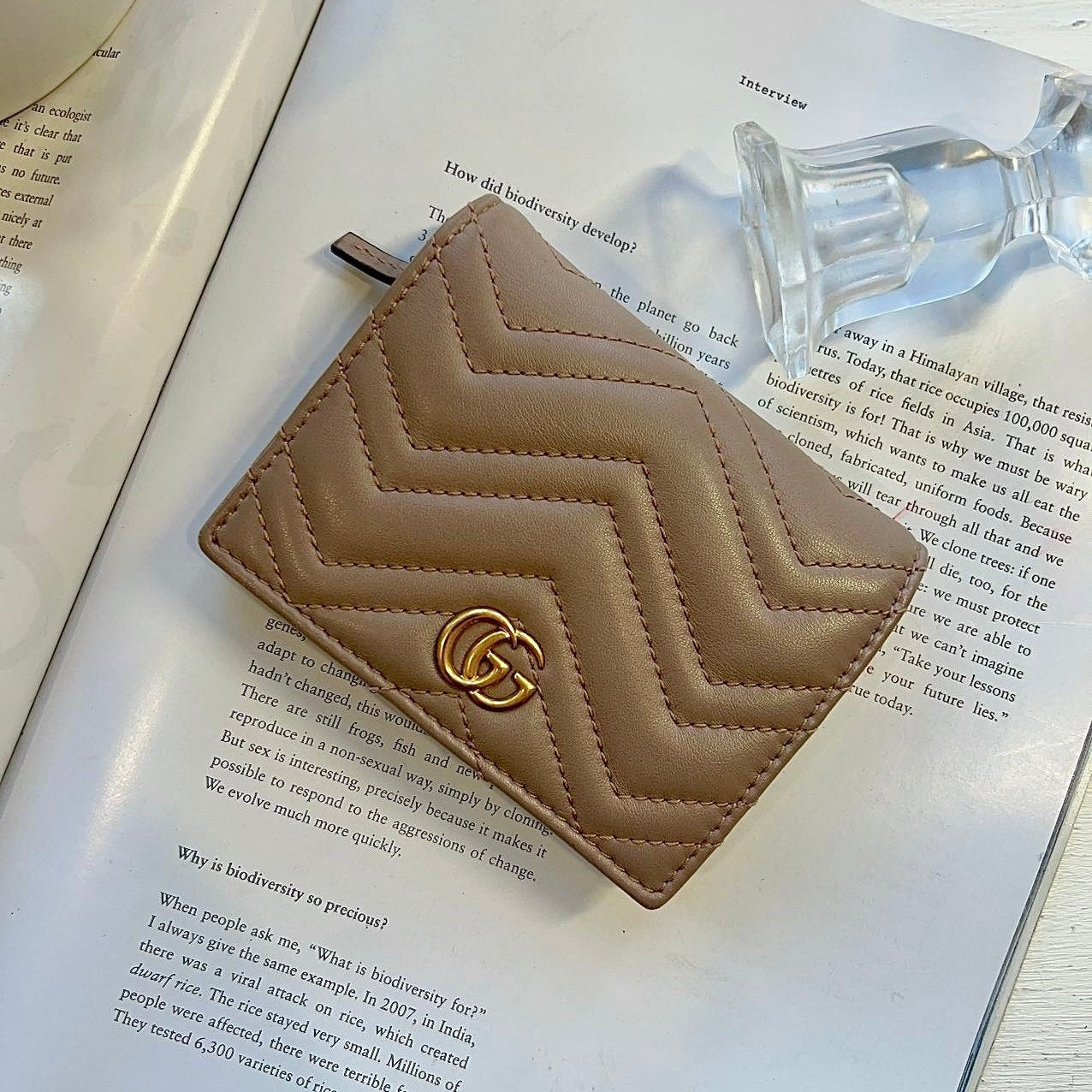 GUCCI GG Marmont Flap Card Case Leather Wallet