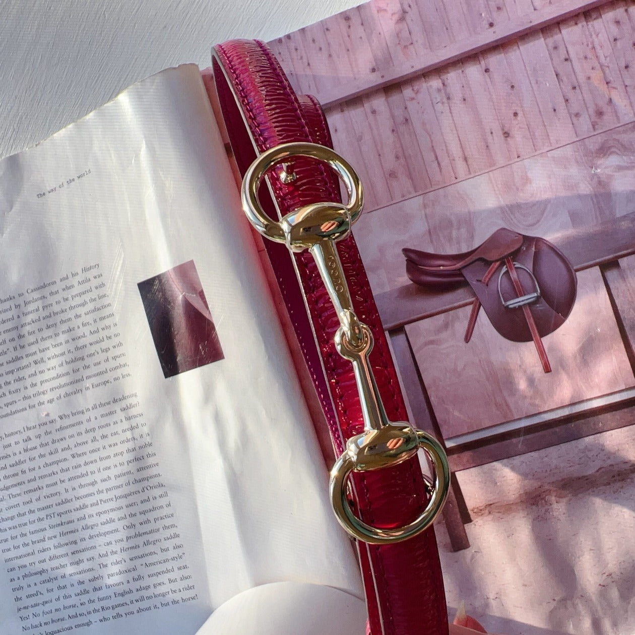 Gucci Horsebit Accent Skinny Belt Kit Red Size85