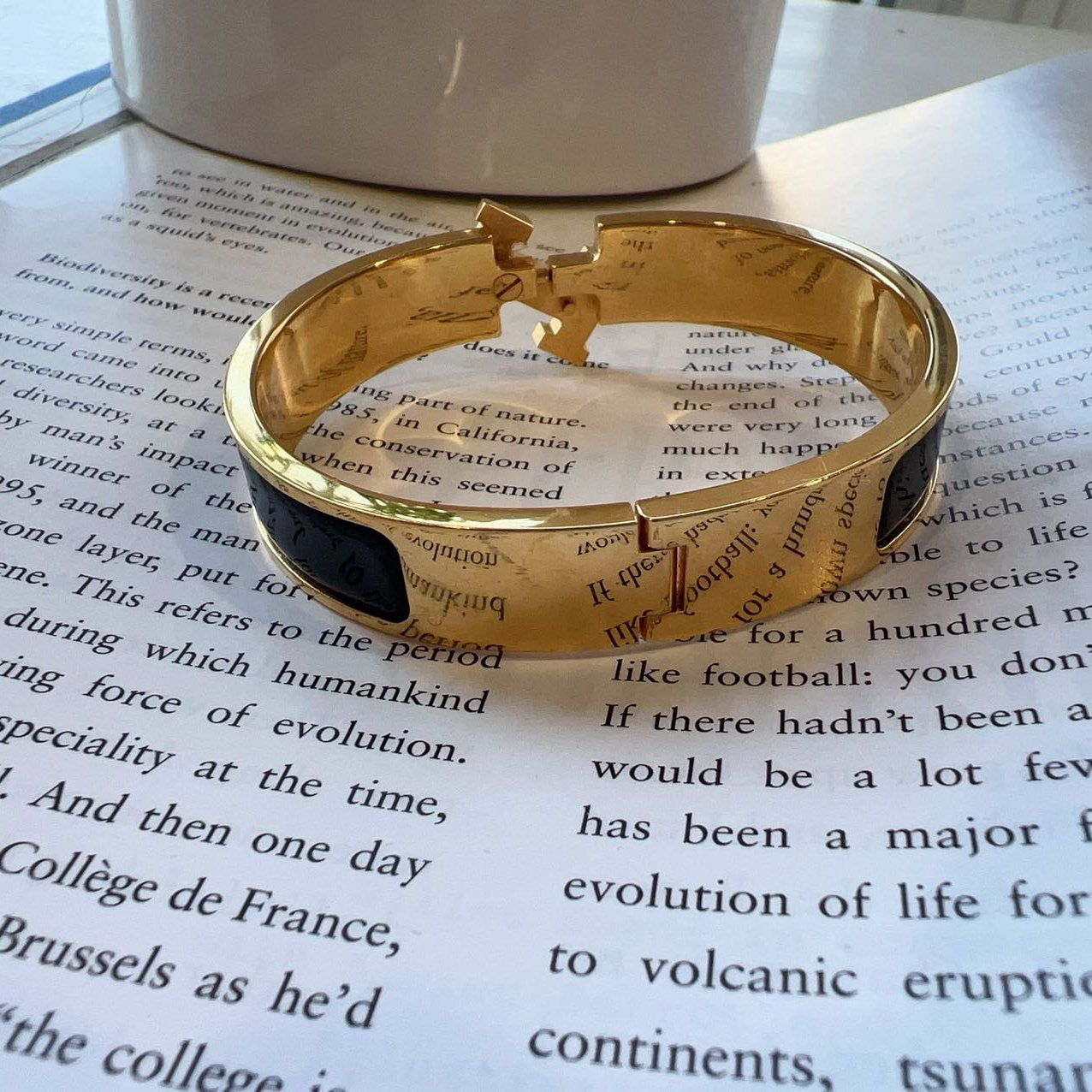 Hermes Clic HH bracelet Black Gold