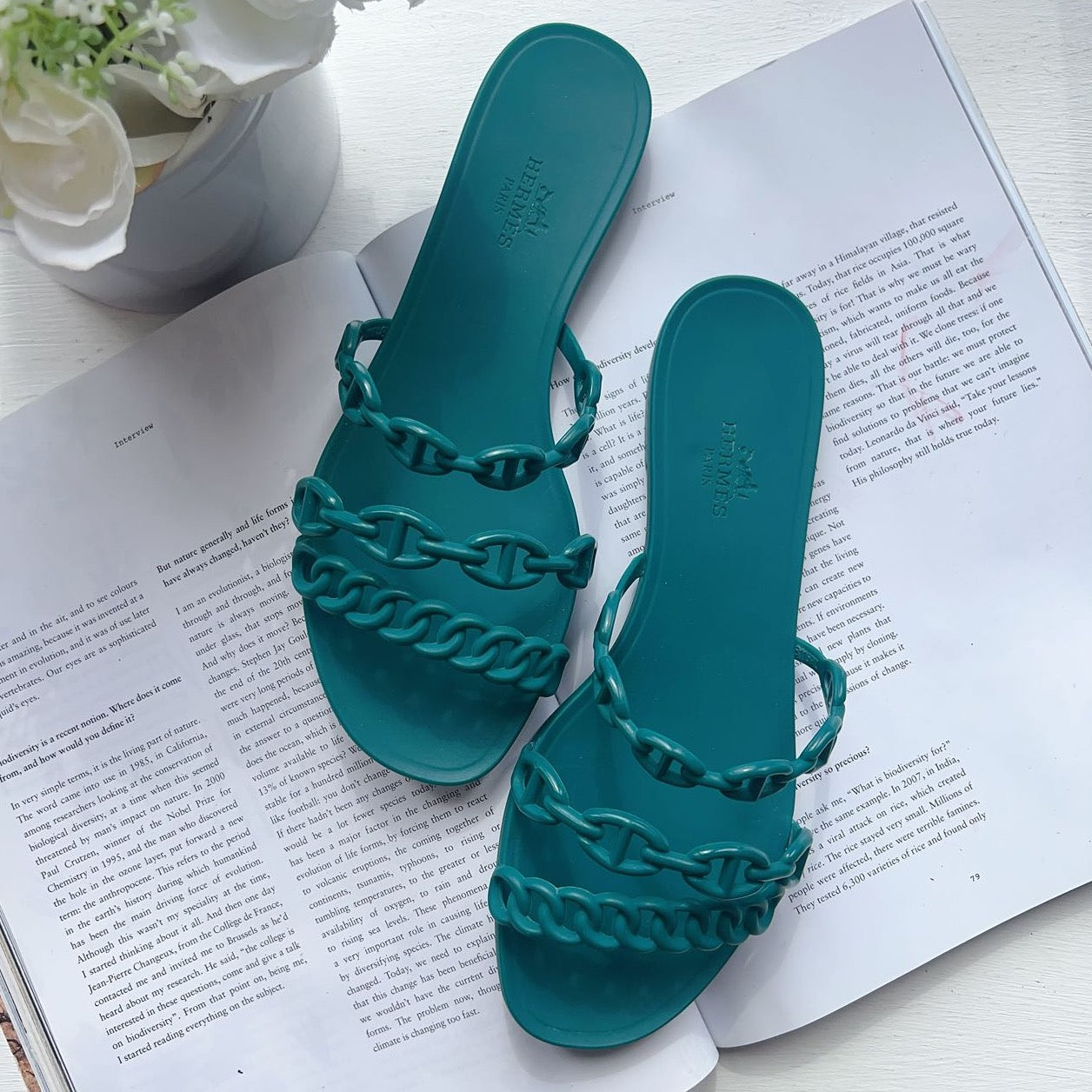 Hermès Rivage Anchor Chain Sandals Rubber Slides Green