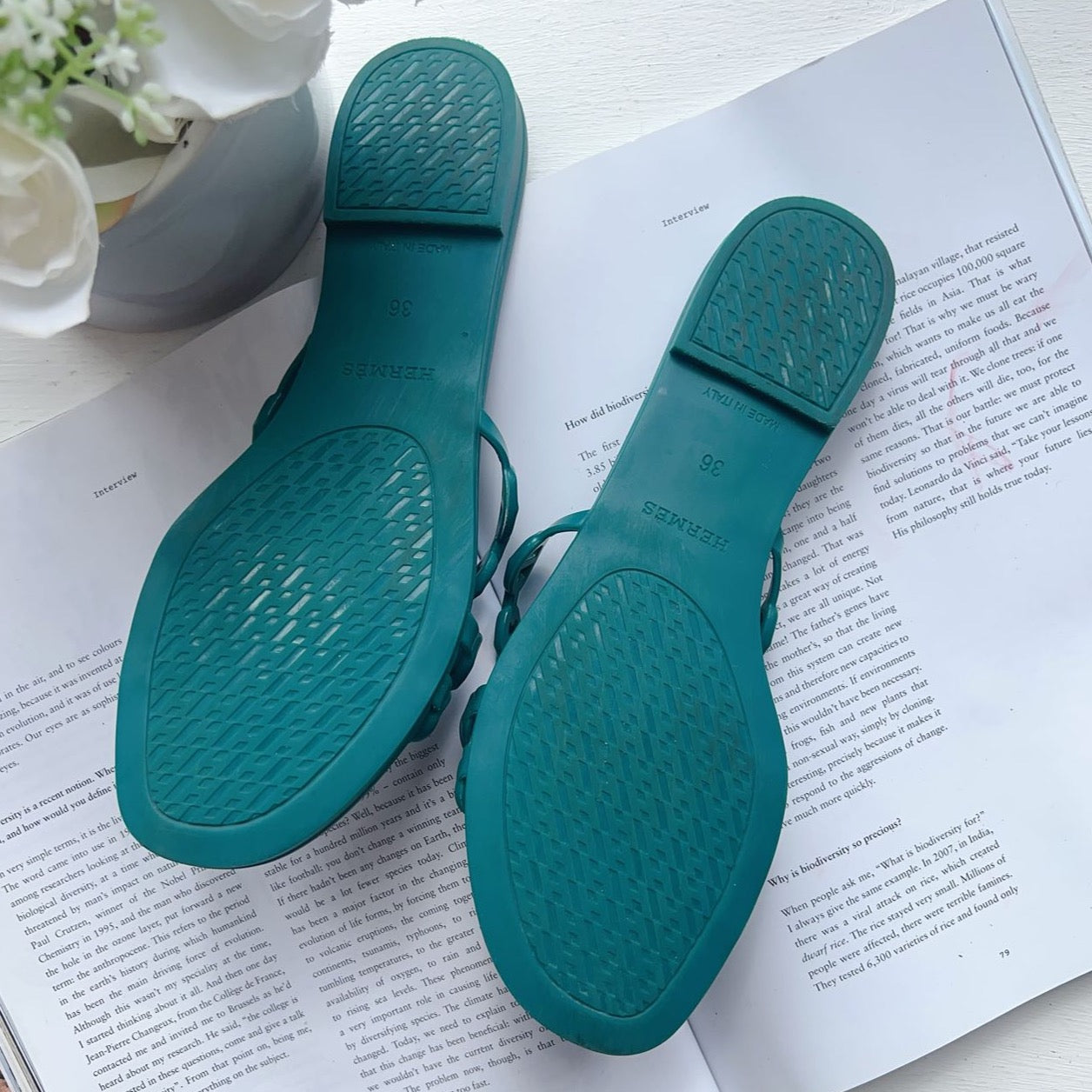 Hermès Rivage Anchor Chain Sandals Rubber Slides Green