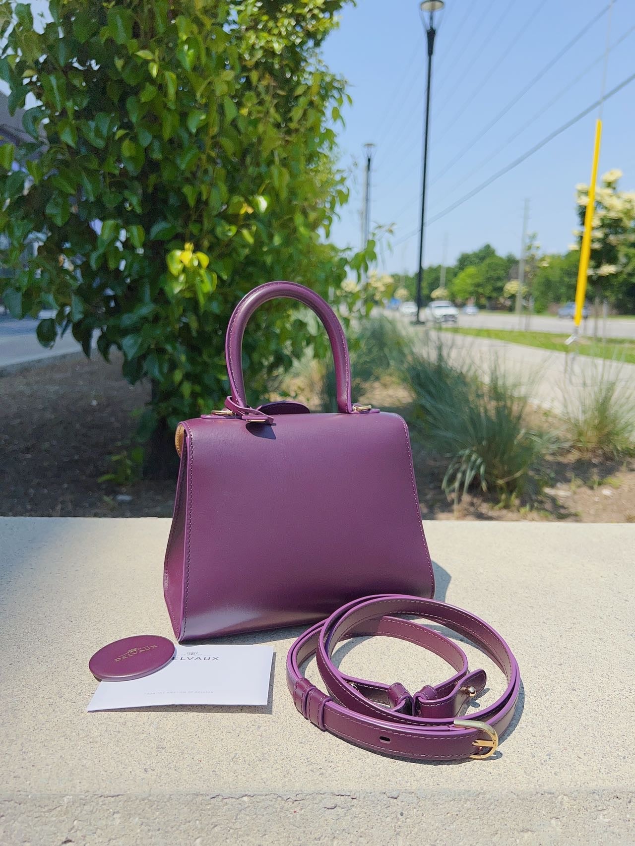 Delvaux Box Calf Brillant Mini Handle Bag