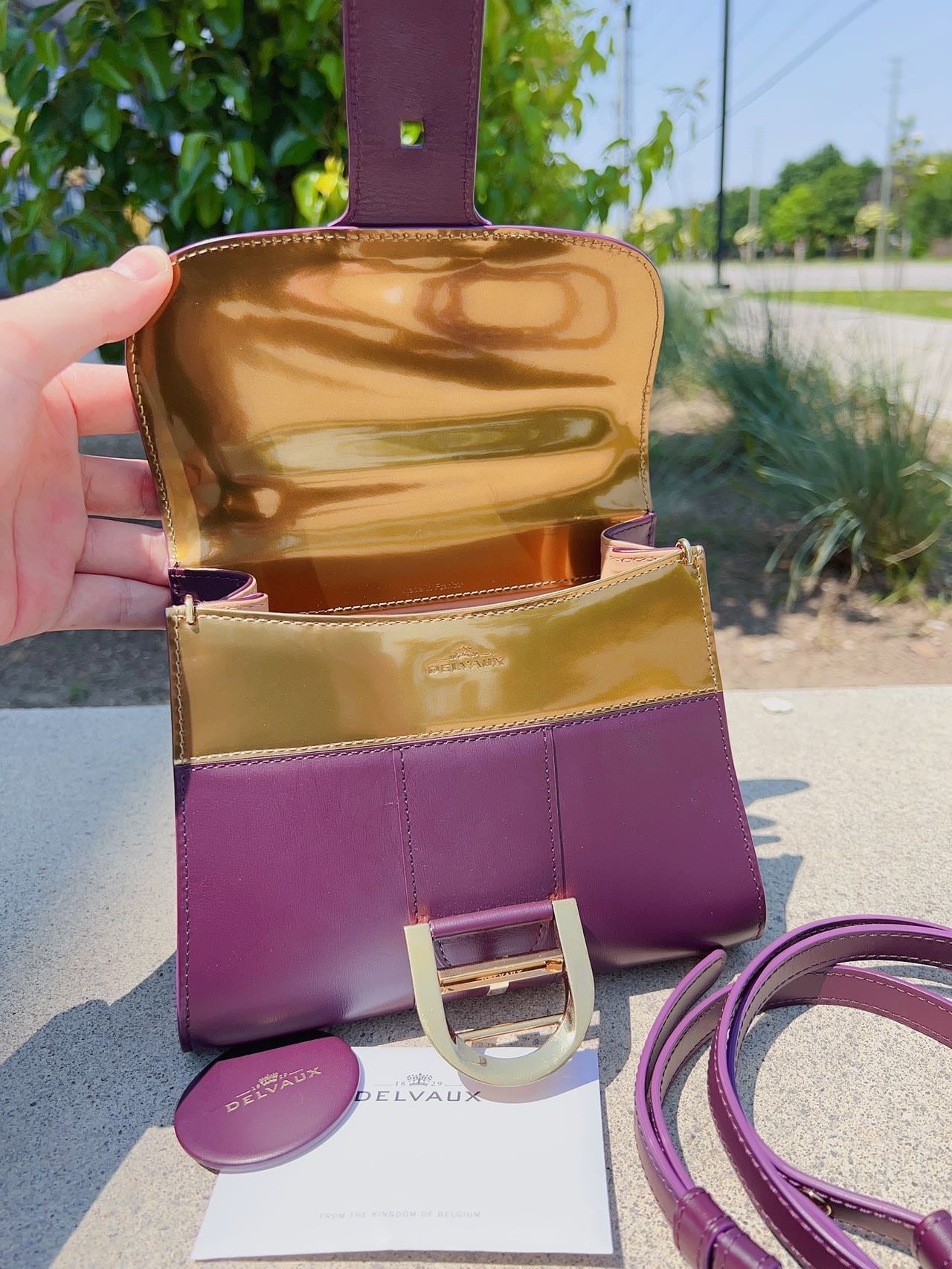 Delvaux Box Calf Brillant Mini Handle Bag