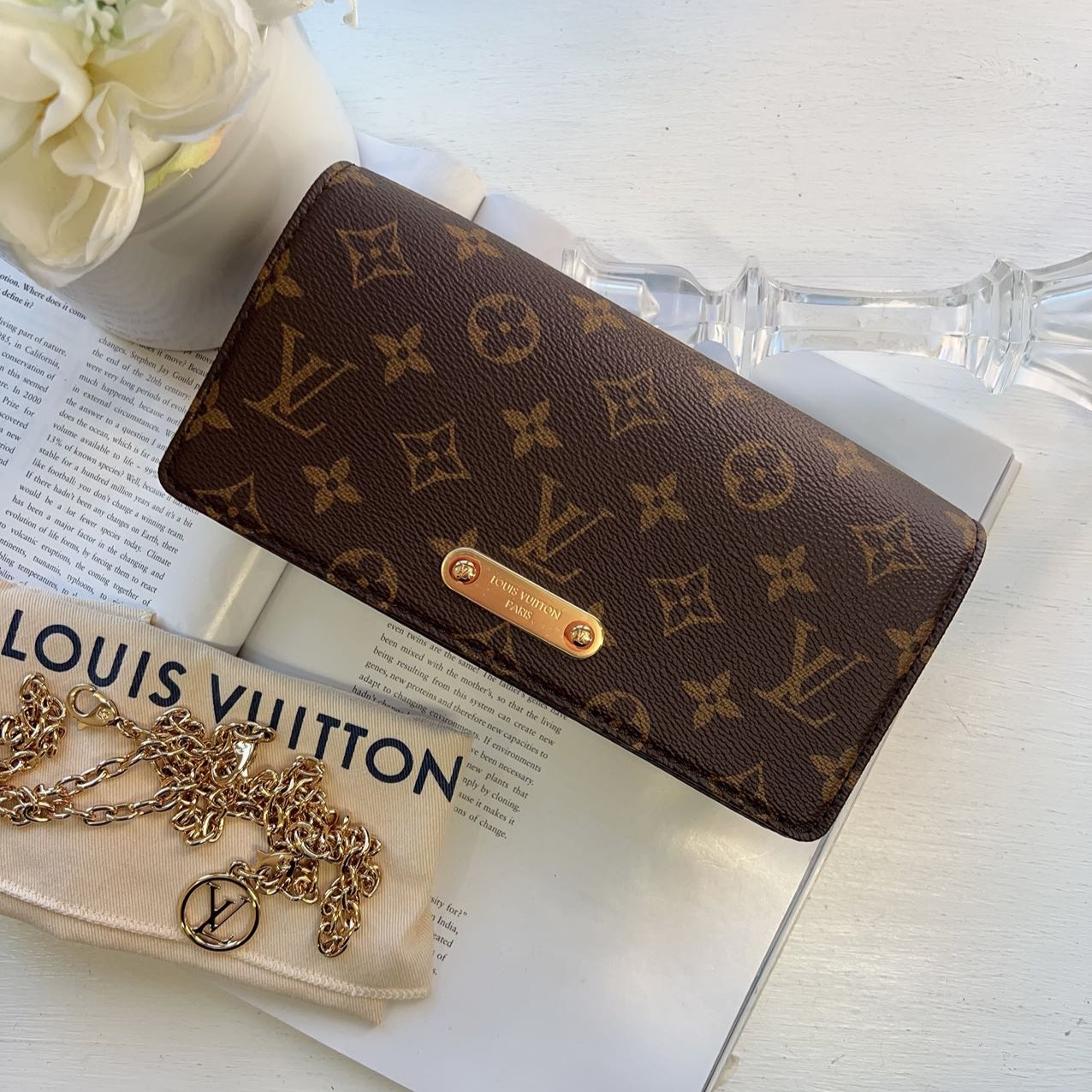 Louis Vuitton Monogram Canvas Lily Wallet On Chain New