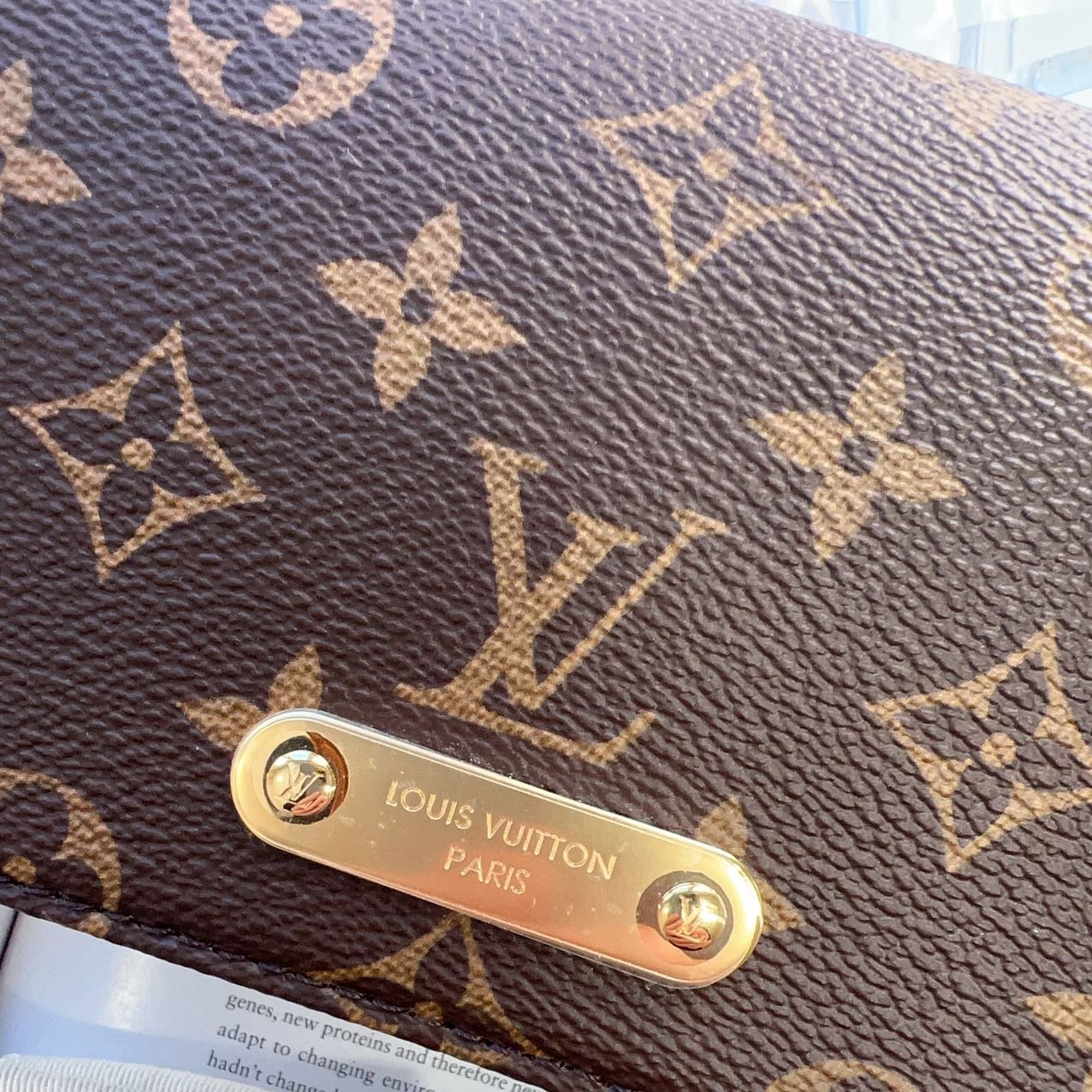 Louis Vuitton Monogram Canvas Lily Wallet On Chain New