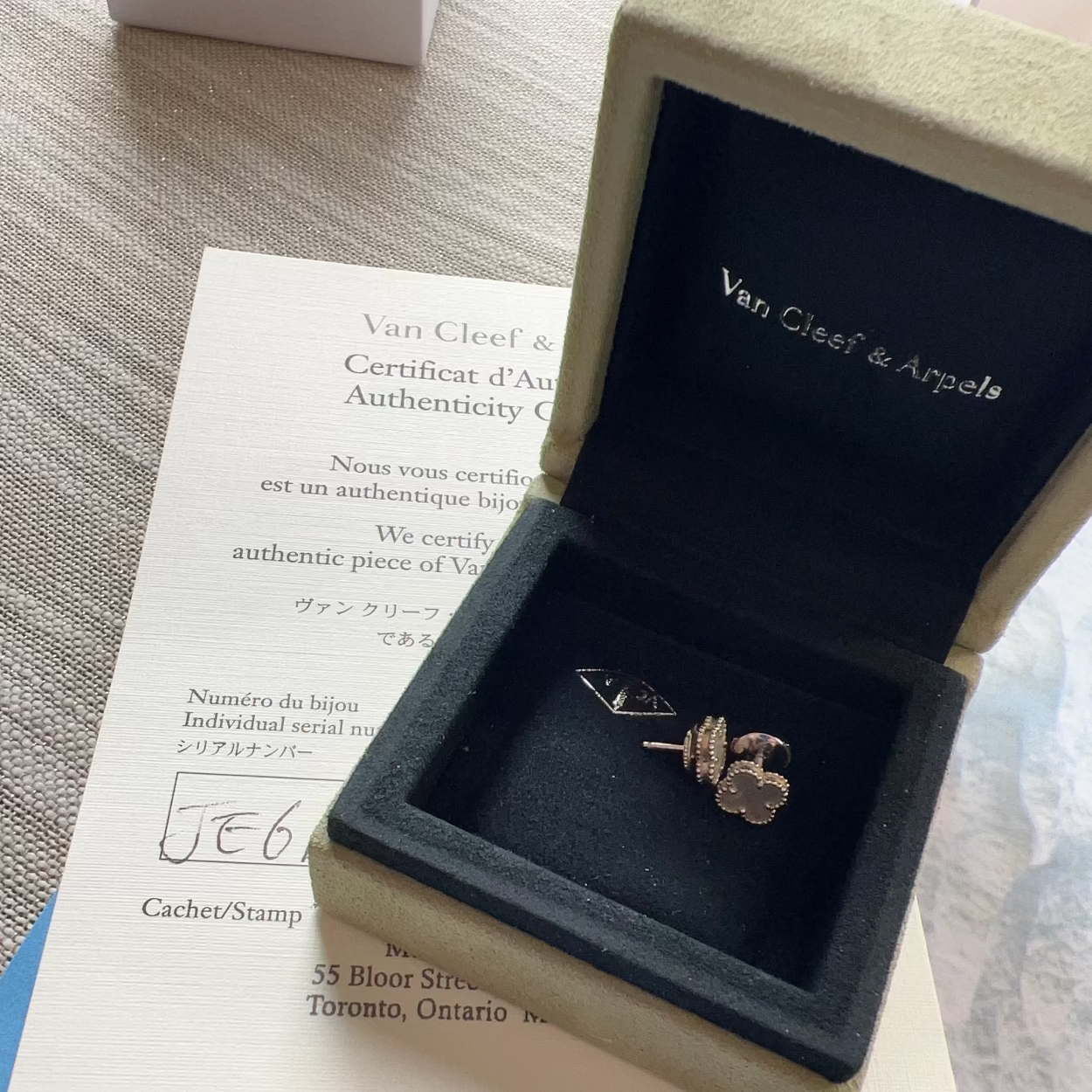 Gold earring in a Van Cleef & Arpels box on a textured surface