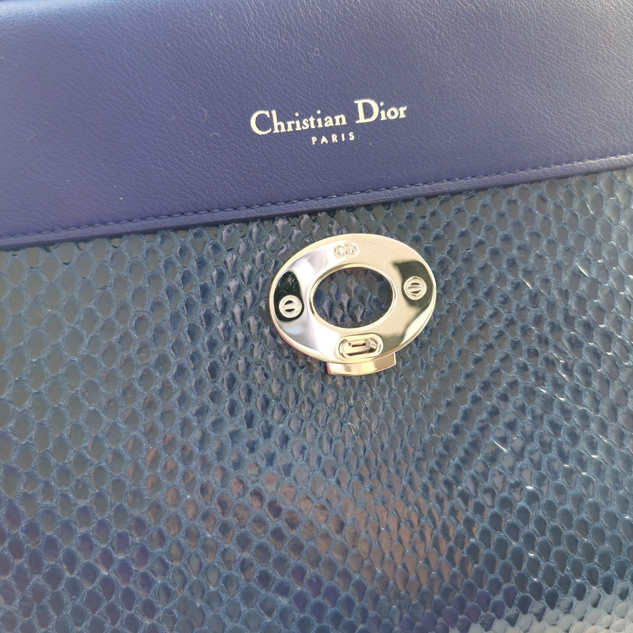 Dior Be Dior Flap Bag In Metallic Blue python Bag
