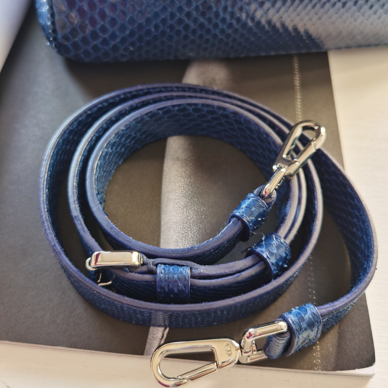Dior Be Dior Flap Bag In Metallic Blue python Bag