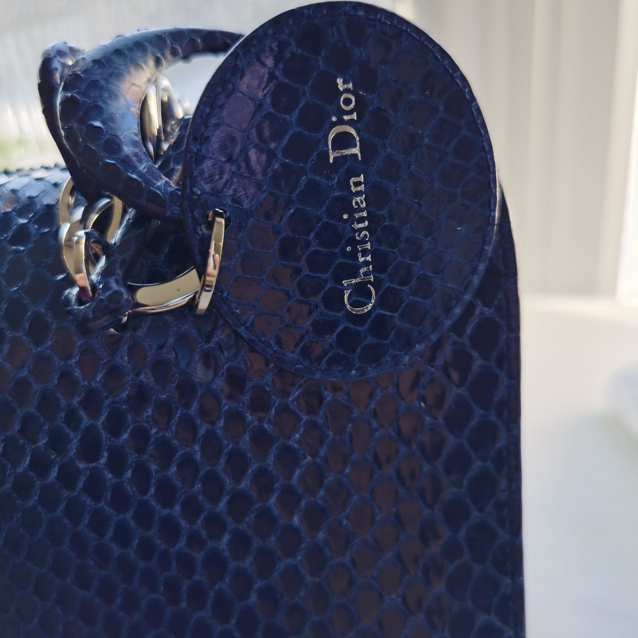 Dior Be Dior Flap Bag In Metallic Blue python Bag