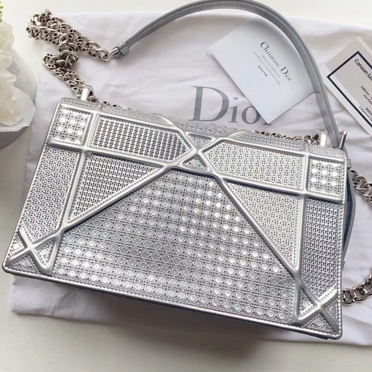 Christian Dior Medium Microcannage Diorama Bag
