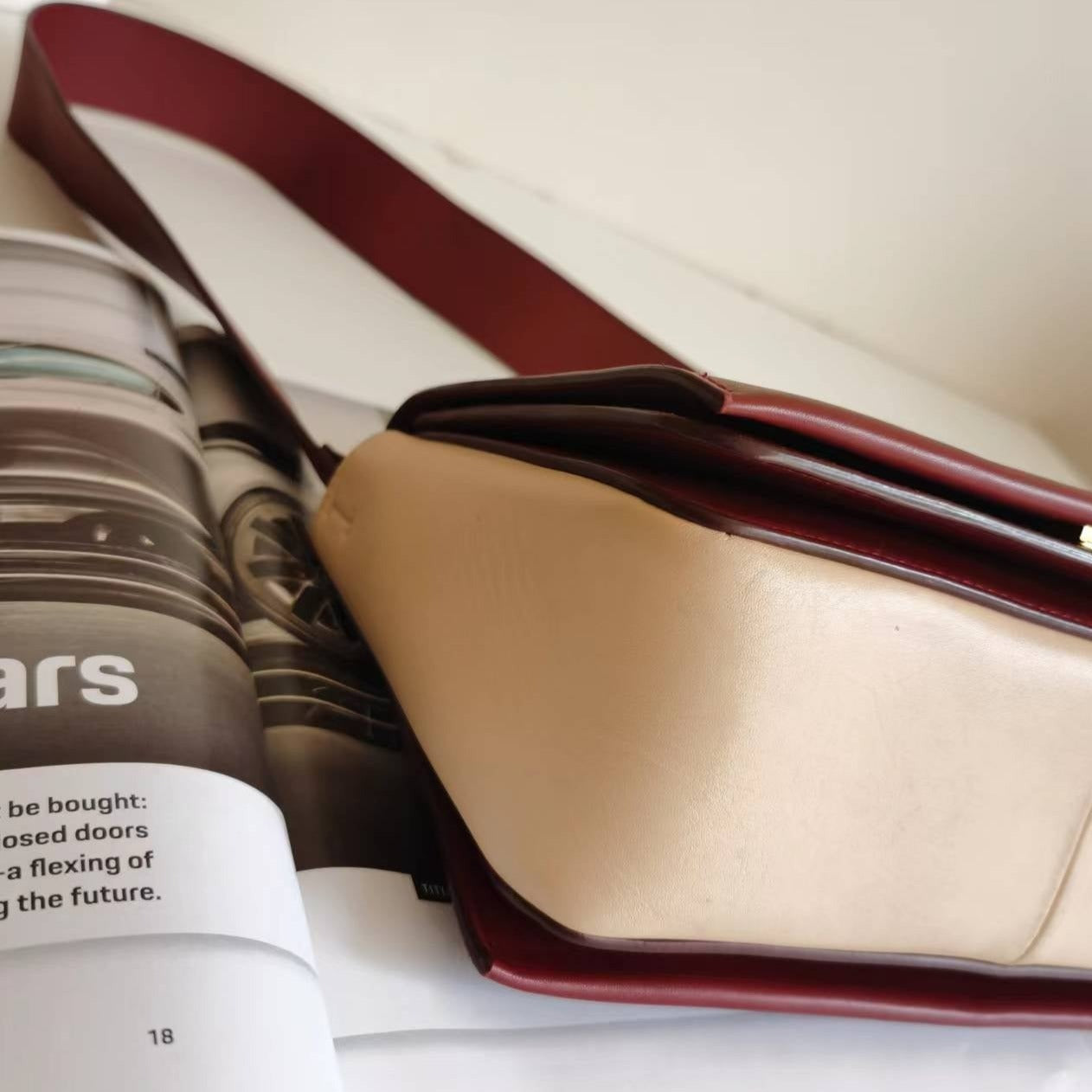 CELINE Shiny Smooth Calfskin Medium Frame Shoulder Bag Ruby Nude - luxhub.ca