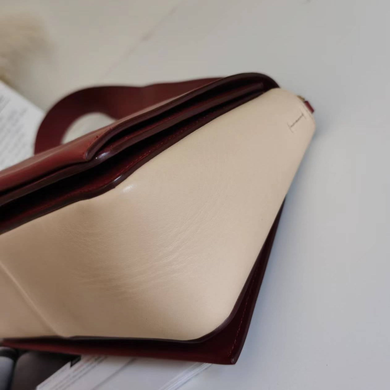 CELINE Shiny Smooth Calfskin Medium Frame Shoulder Bag Ruby Nude - luxhub.ca