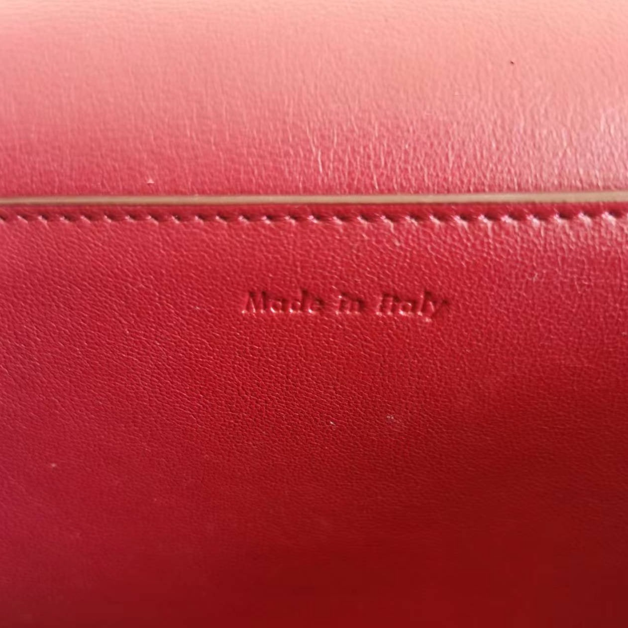 CELINE Shiny Smooth Calfskin Medium Frame Shoulder Bag Ruby Nude - luxhub.ca