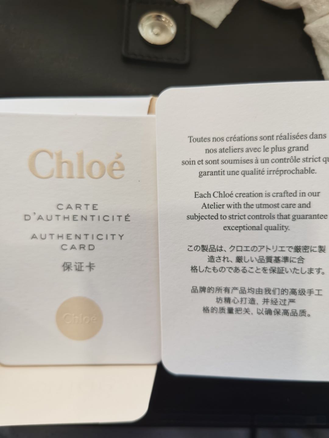 Chloe Mini Faye Black and Suede Crossbody Bag