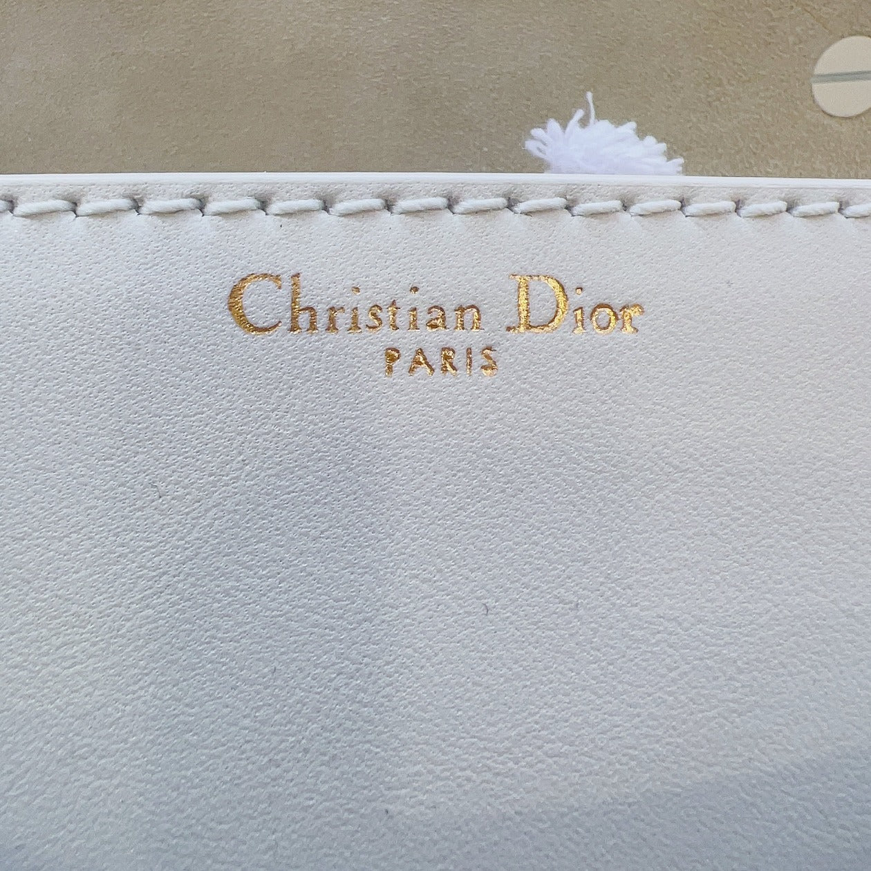 Christian Dior Ultra Matte J'Adior Flap Bag Matte Calfskin Mini