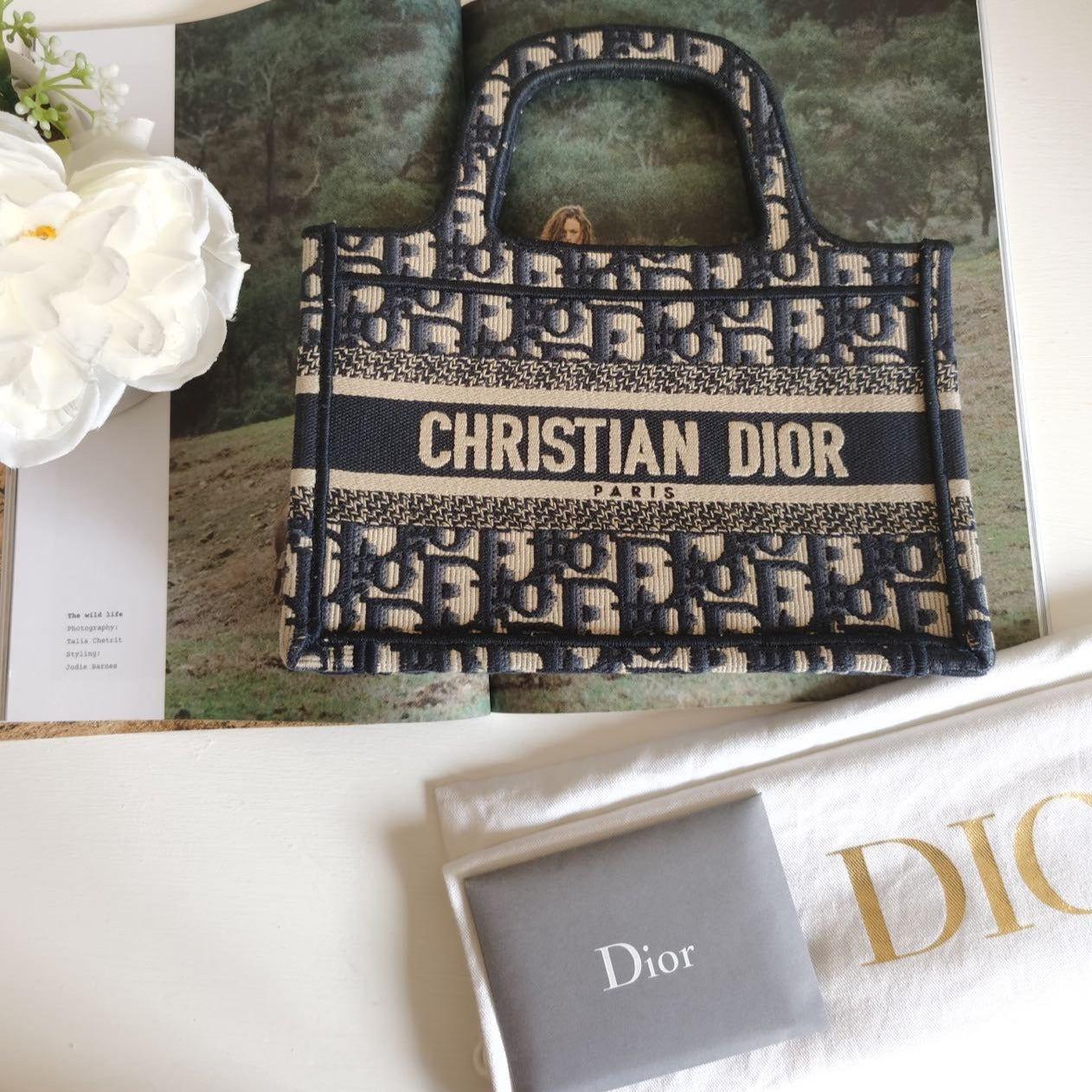 Dior Mini Book Tote Canvas Amour Dots