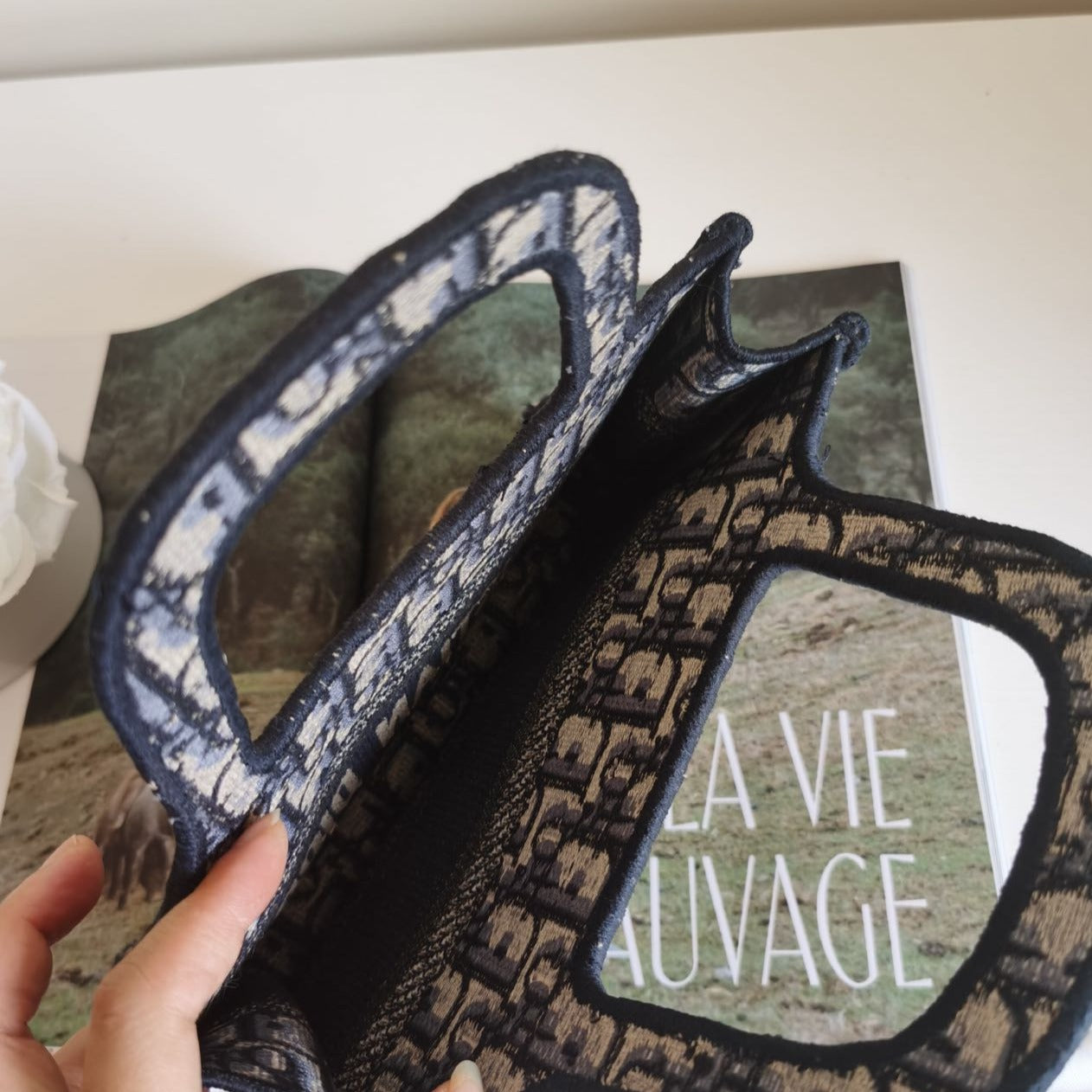 Dior Mini Book Tote Canvas Amour Dots