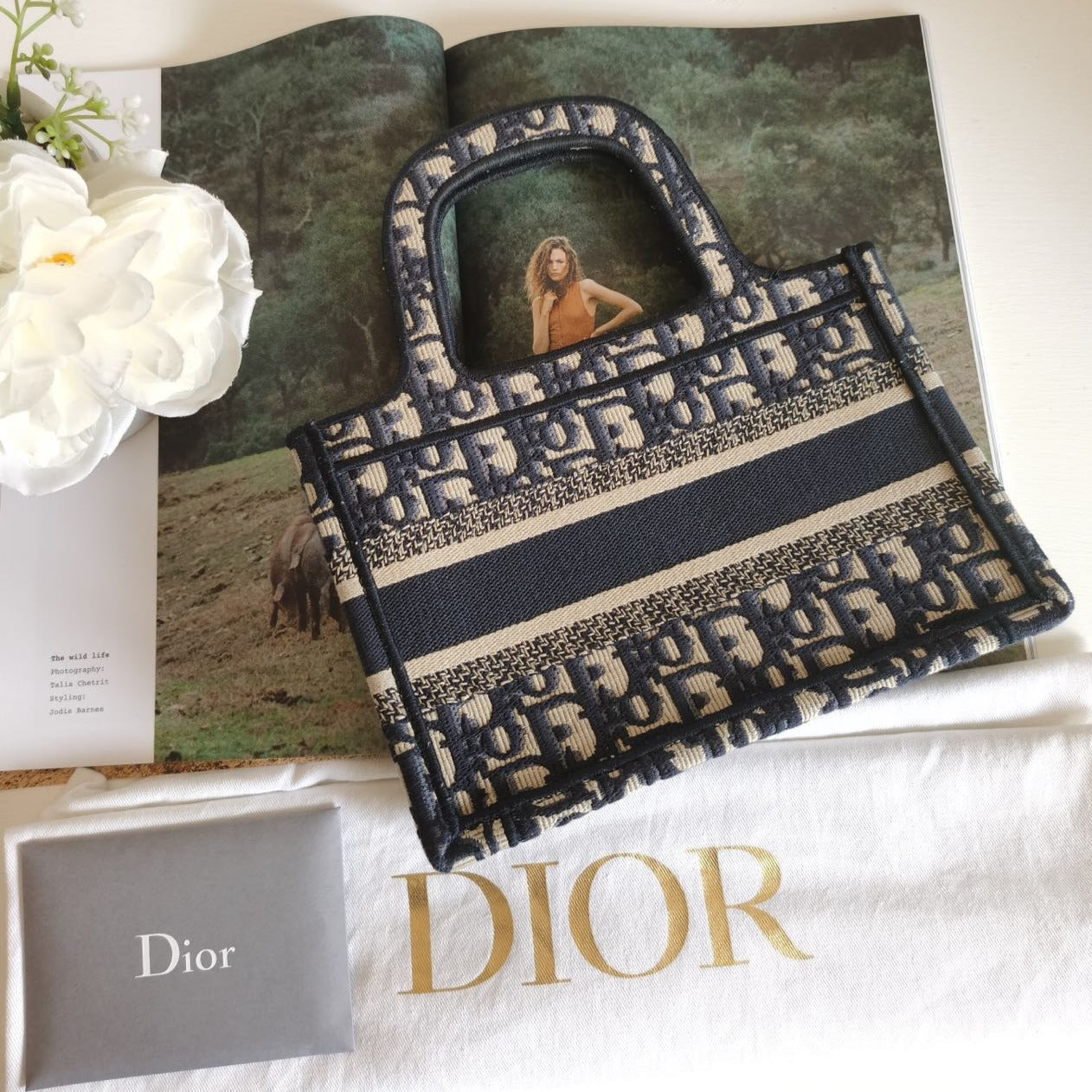 CHRISTIAN DIOR Canvas Dior Amour Dots Mini Book Tote