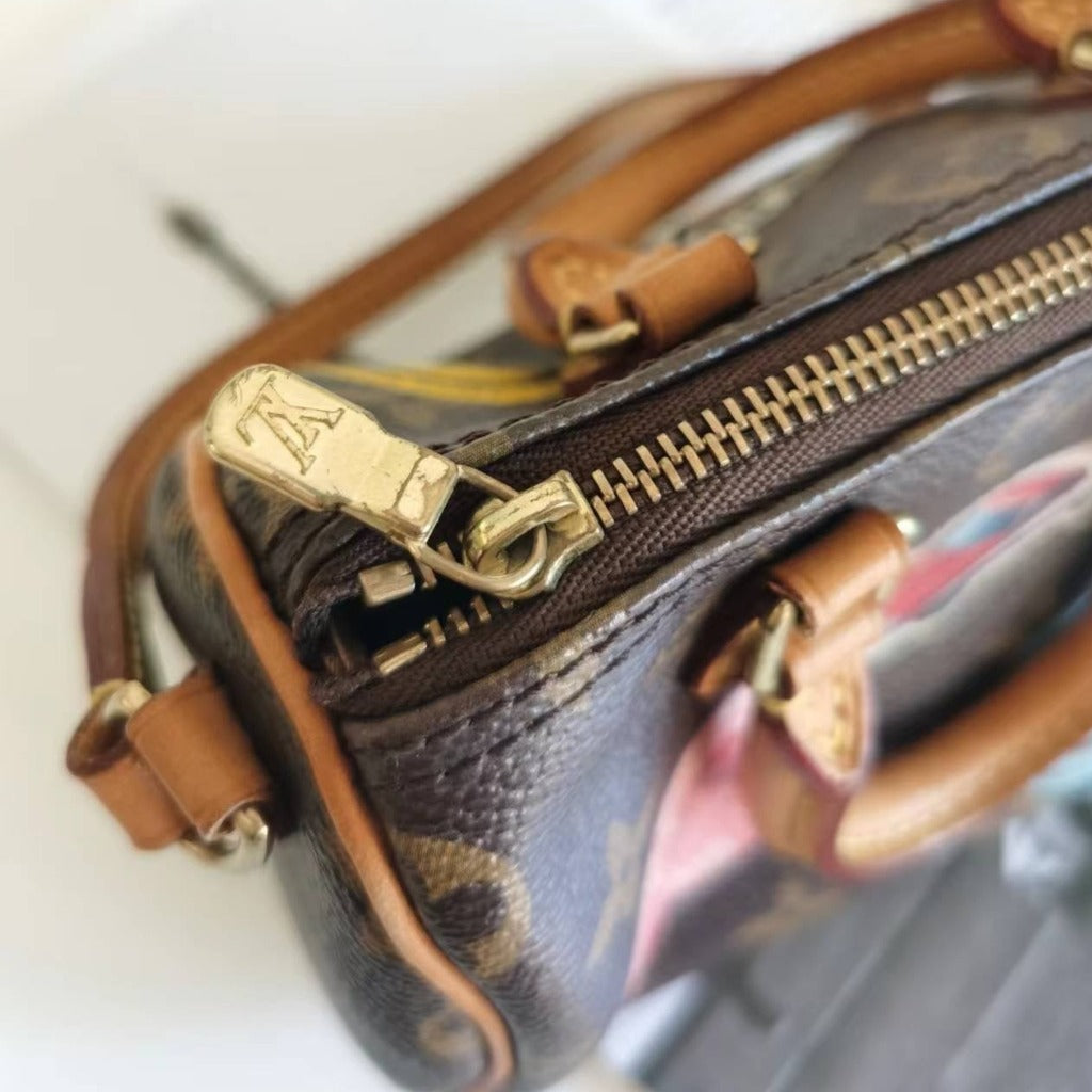 Louis Vuitton Monogram Nano Speedy World Tour - luxhub.ca