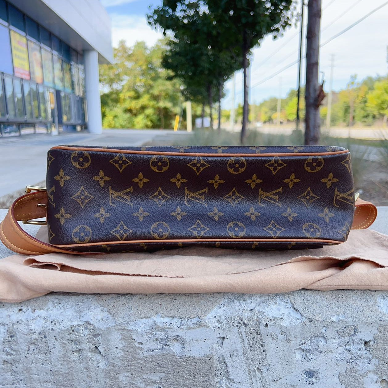 Louis Vuitton Monogram Viva-Cité GM Bag