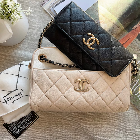 Chanel Triple Color Camera Case Bag with Wallet