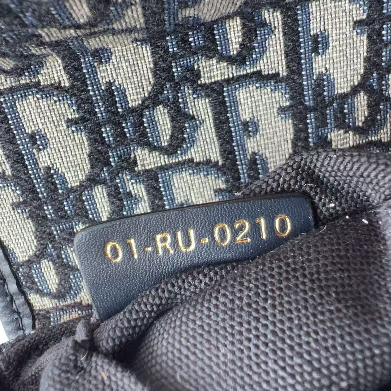 Close-up of a Dior monogram bag showing the signature 'CD' pattern in navy blue on a beige canvas background, with a black leather tag displaying the code '01-RU-0210'.