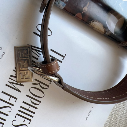 Brown leather dog collar with a metal clasp on a book