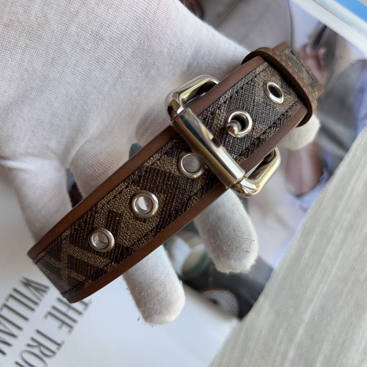 Brown leather dog collar with silver studs on a white background