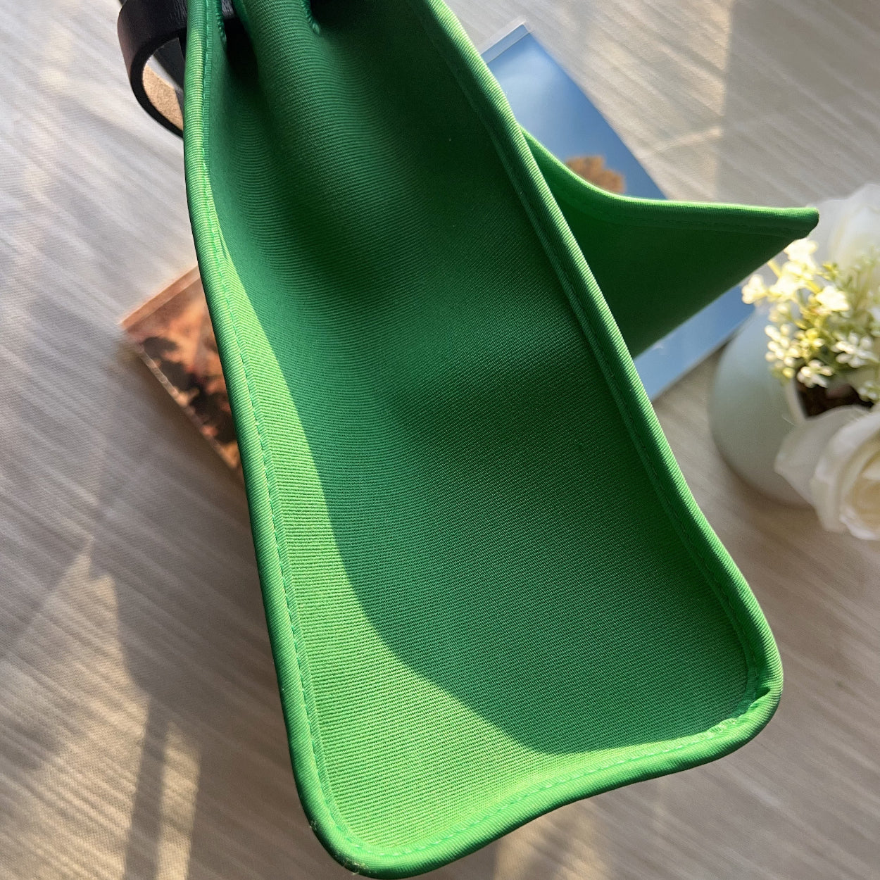 Green dog muzzle on a wooden surface