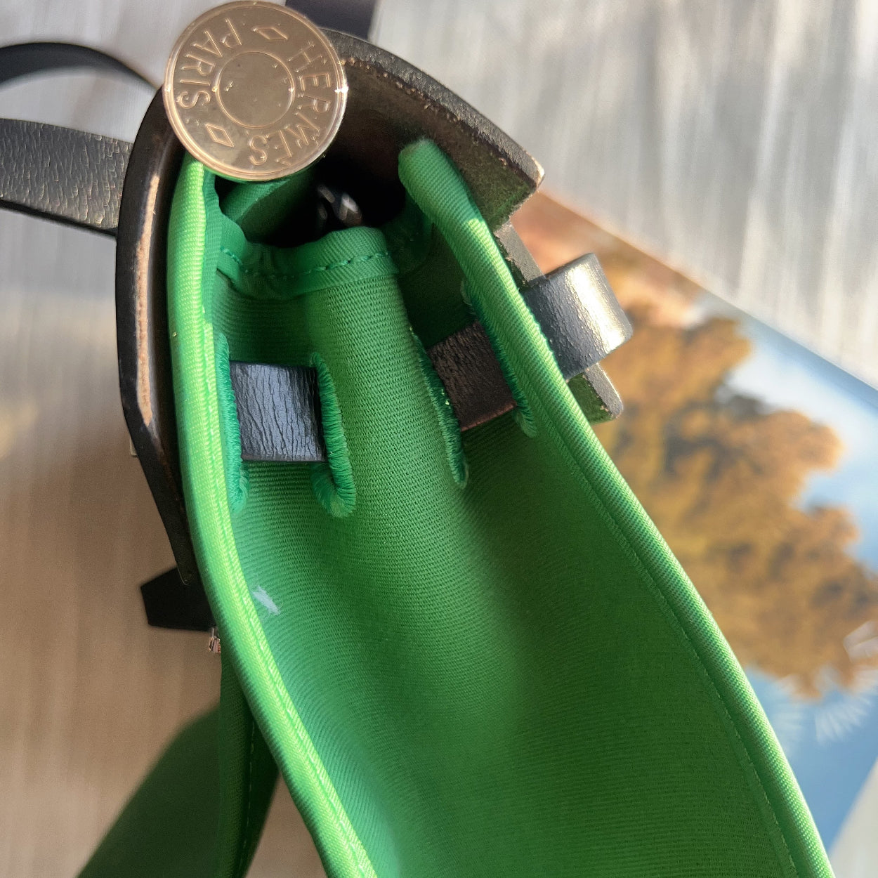 Close-up of a green shoe with a gold button on a blurred background