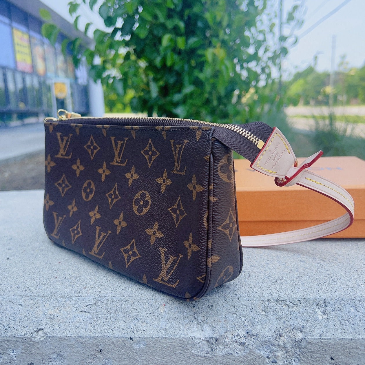 Louis Vuitton Monogram Pochette Accessoires New