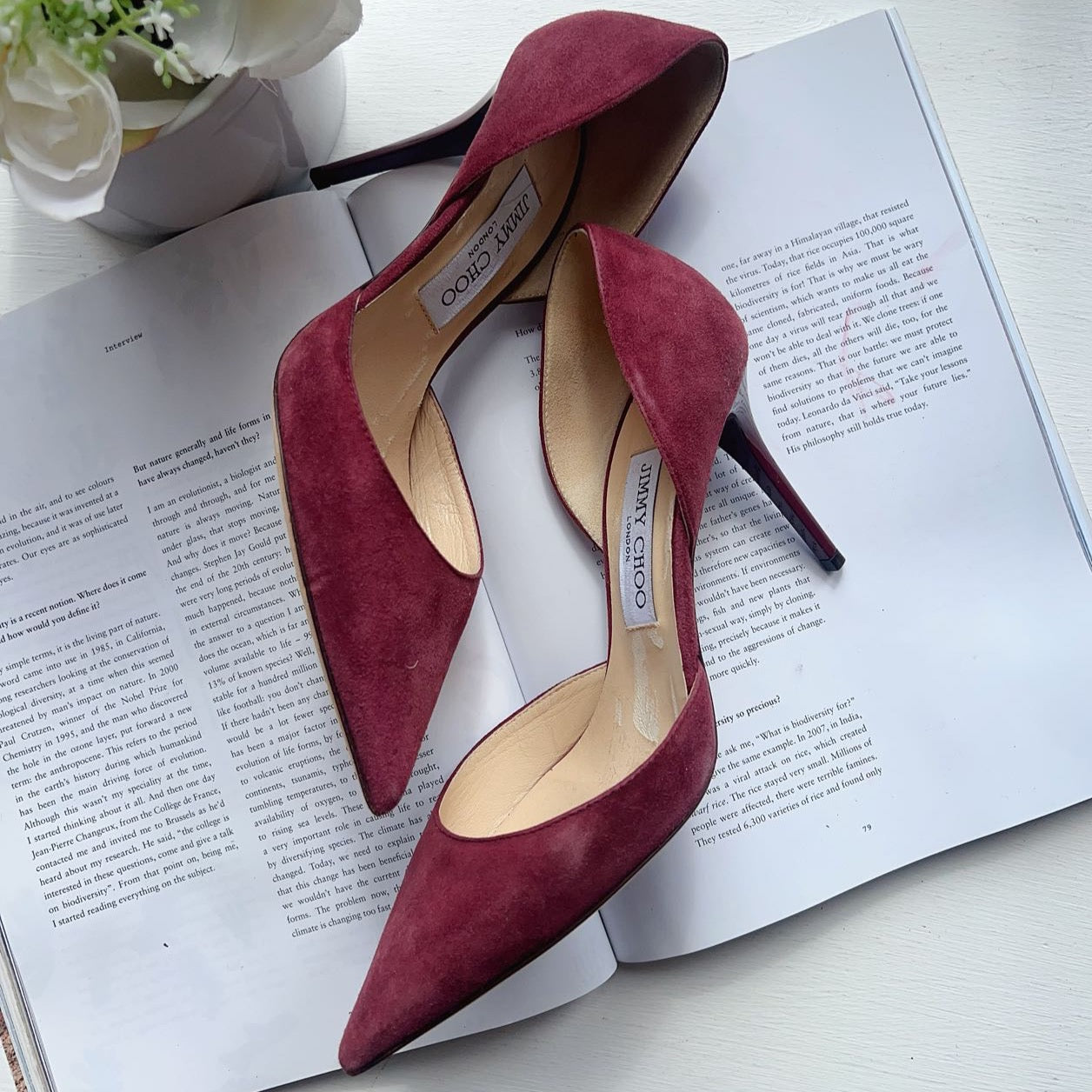 Jimmy Choo Suede Addison Burgundy Pointed Toe Heels Pumps luxhub