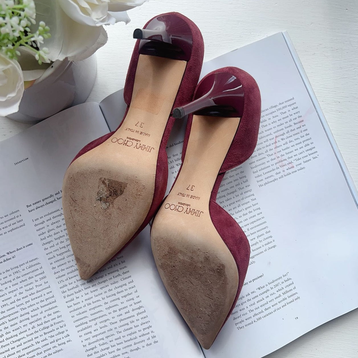 Jimmy Choo Suede Addison Burgundy Pointed Toe Heels