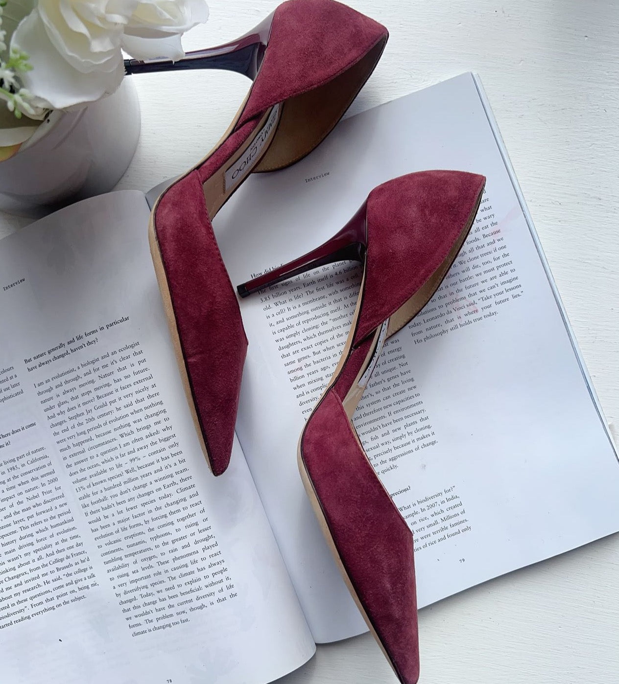 Jimmy Choo Suede Addison Burgundy Pointed Toe Heels