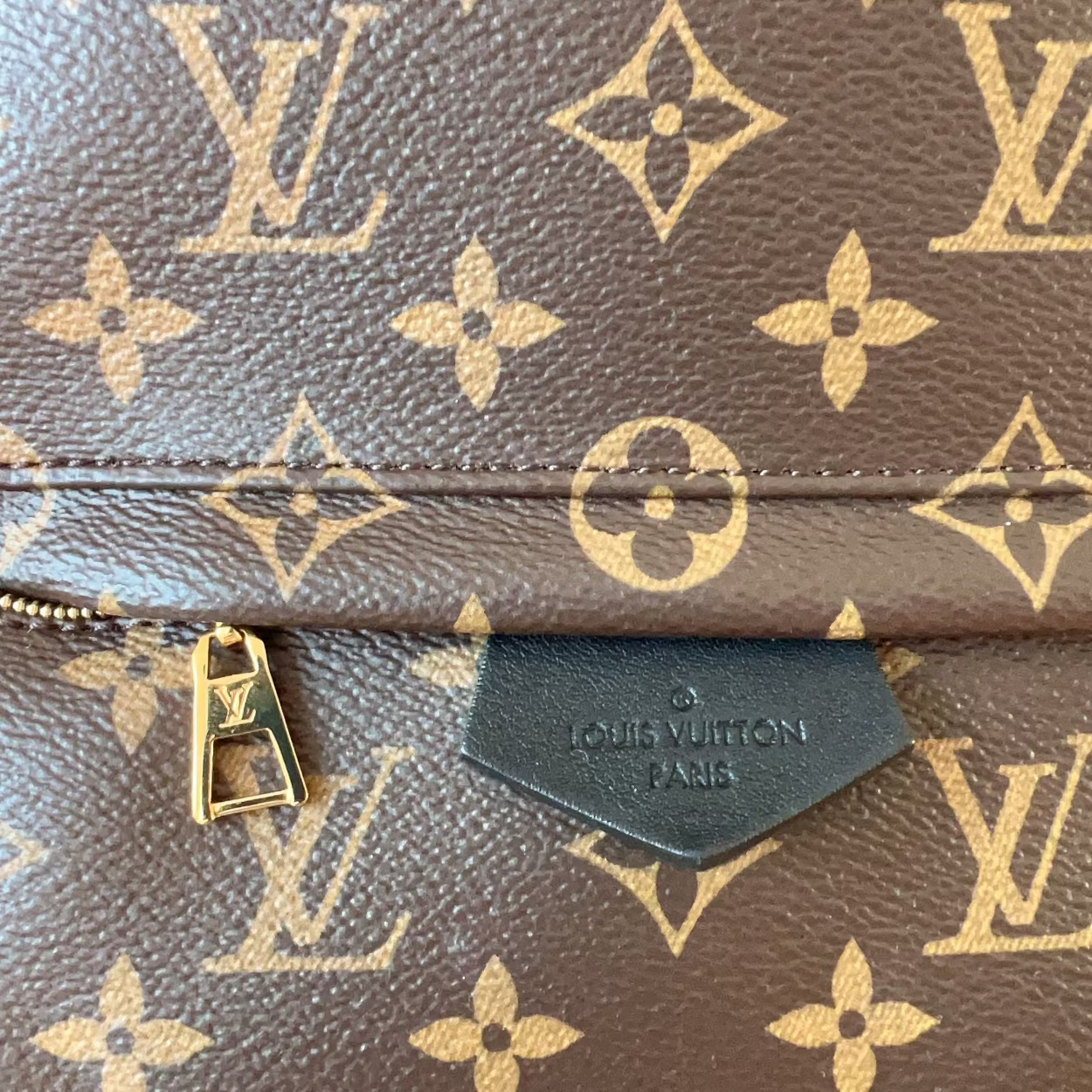 Louis Vuitton bag with monogram pattern and visible brand logo.